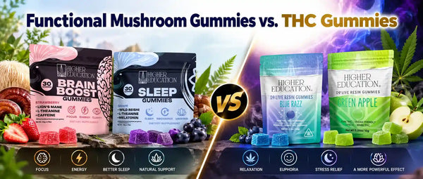Functional Mushroom Gummies vs. THC Gummies: Which One Actually Fits Your Goal?